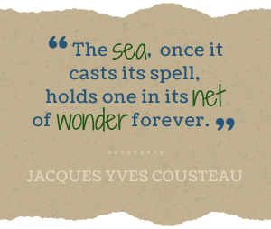 The sea, once it casts its spell, holds one in its net of wonder forever. -Jacques Yves Cousteau